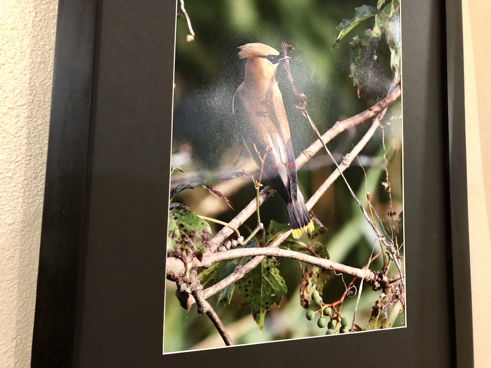 Creative Eye photography exhibit